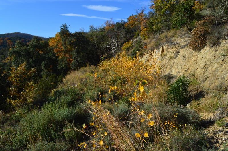 Terrain - 18 305 m²