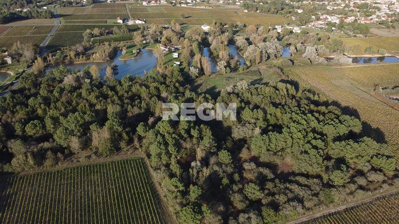 Terrain - 123 886 m²