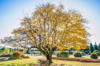 Maison - 278 m² - 6 pièces