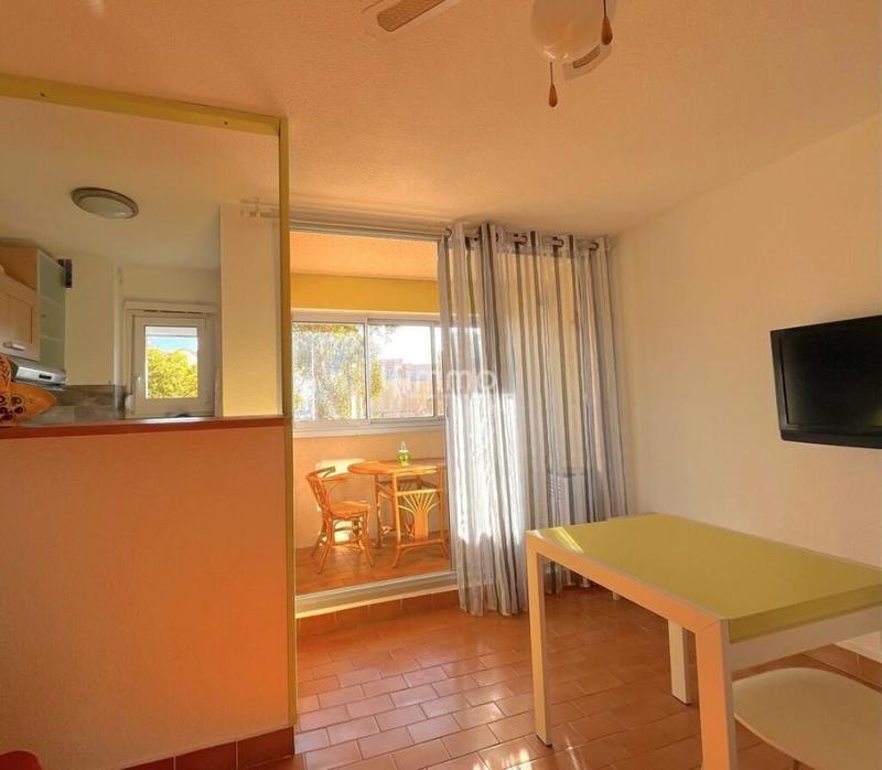 Studio - 24 m² - 1 pièce