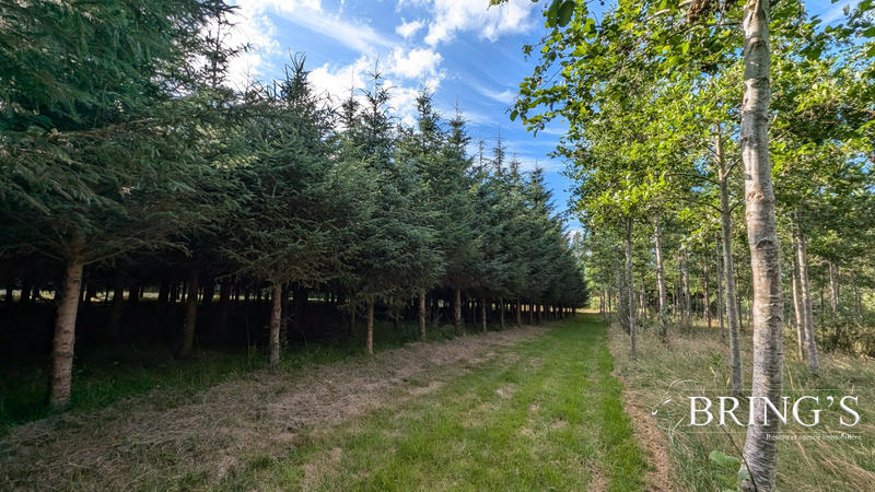 Terrain de loisirs - 47 800 m²