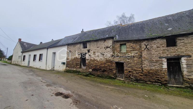 Longère - 81 m² - 3 pièces