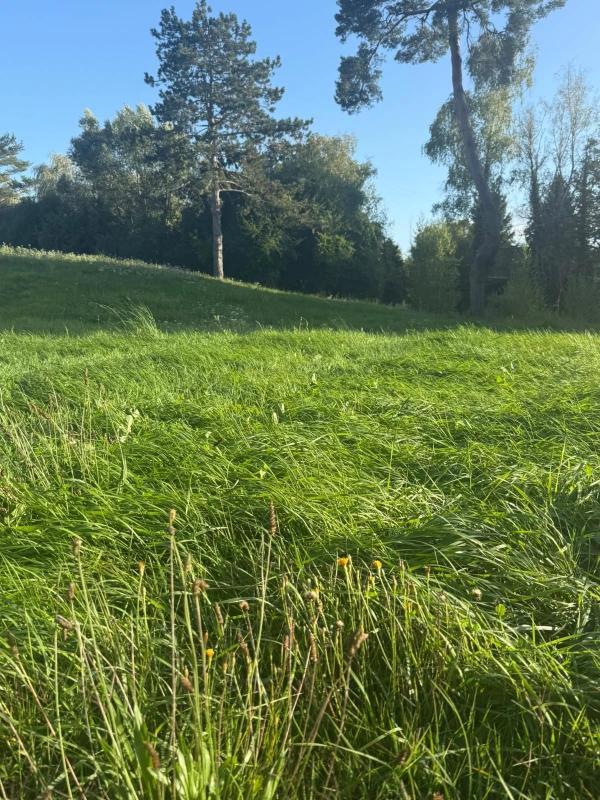 Terrain constructible - 765 m²