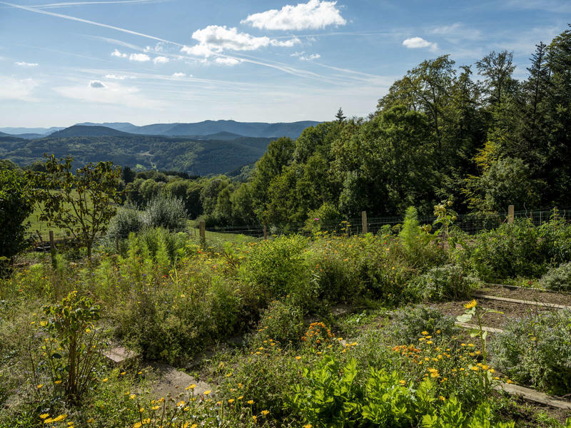 Sentiers Plaisir : Bien être et contemplation selon Hildegarde de Bingen
