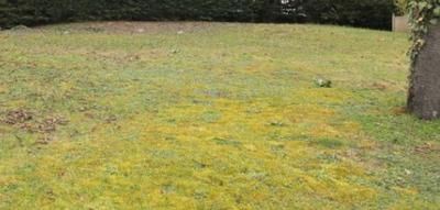 Terrain constructible - 420 m²