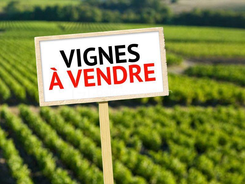 Terrain - 47 000 m²