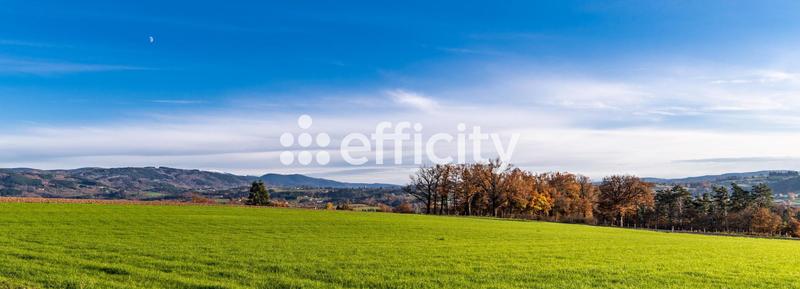 Bureau - 600 m² - 42 pièces