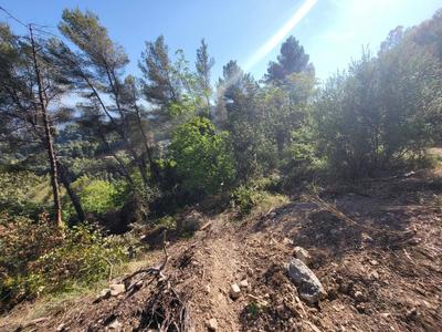 Terrain - 16 415 m²