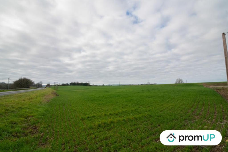 Terrain agricole - 6 000 m²