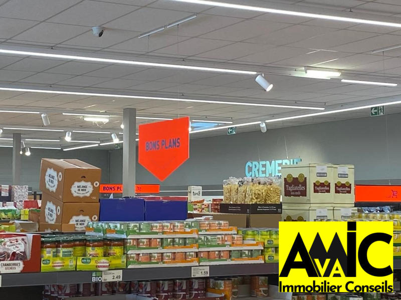 Local commercial - 1 226 m² - 5 pièces