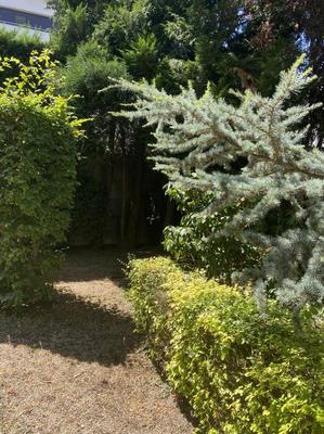 Maison - 232 m² - 8 pièces