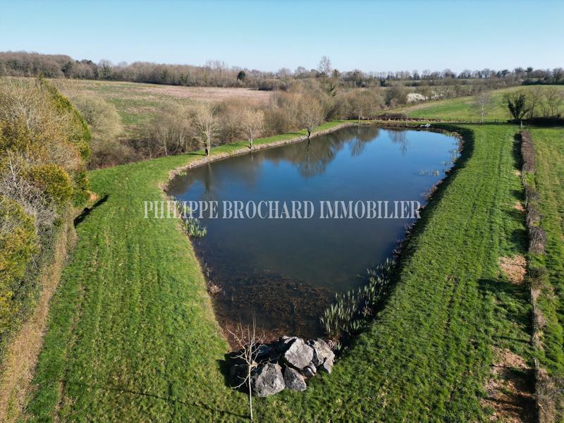 Terrain de loisirs - 6 000 m²