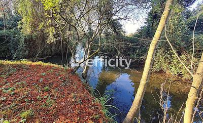 Maison en pierre - 160 m² - 8 pièces