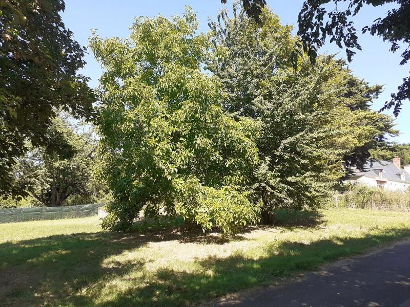 Terrain constructible - 1 100 m²