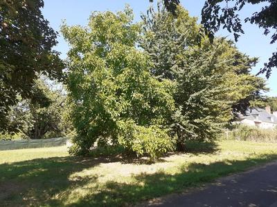 Terrain constructible - 1 100 m²