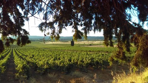 Domaine Conscience.Chambres. Séminaires