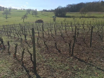 Maison - 142 m² - 6 pièces