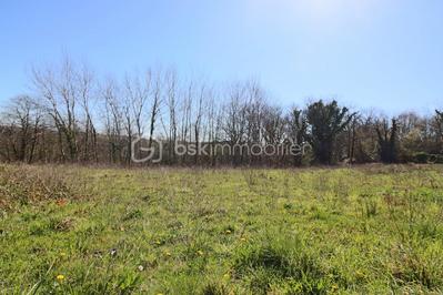 Terrain - 1 401 m²