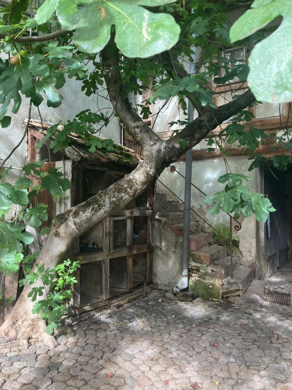 Maison - 84 m² - 4 pièces