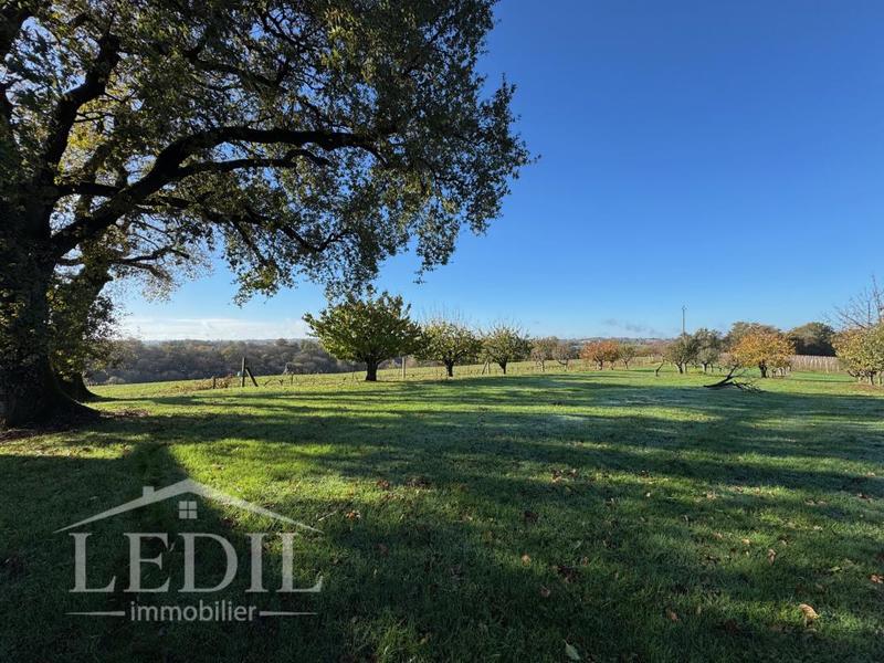 Propriété - 310 m² - 9 pièces