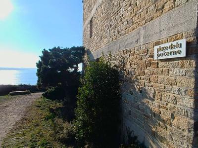 Appartement - 39 m² - 1 pièce