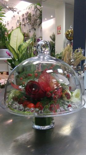 Jasmin fleurs et déco