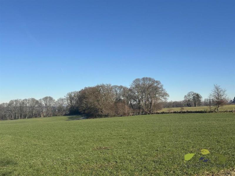 Propriété - 166 m² - 5 pièces