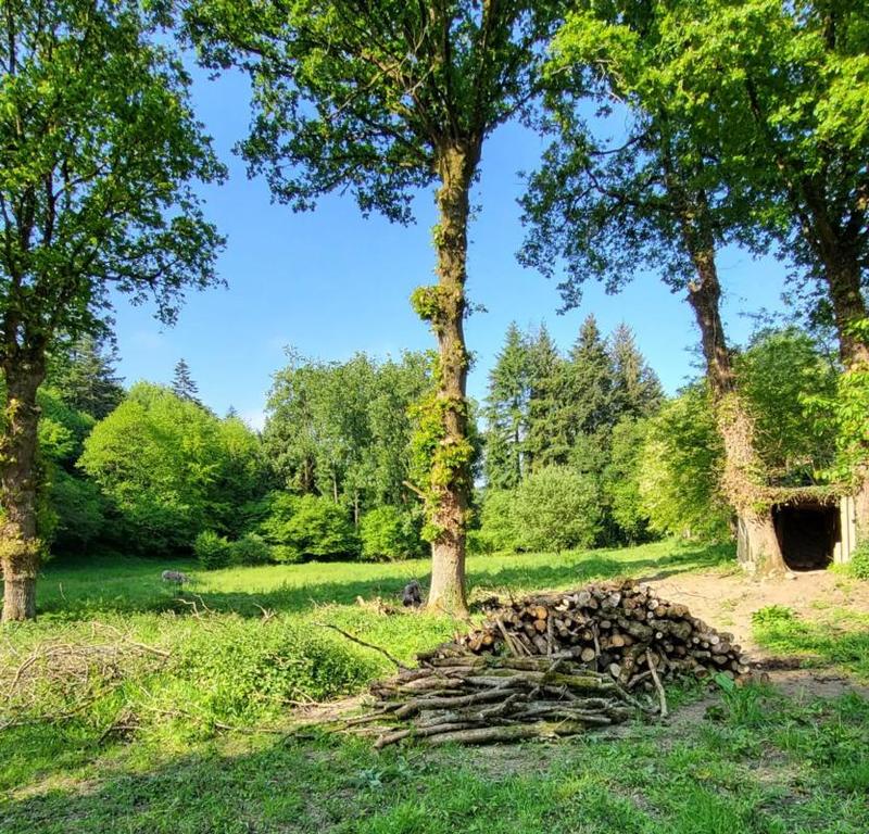 Maison - 128 m² - 6 pièces