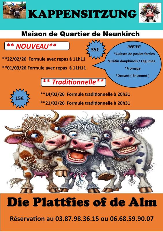 Kappensitzung - Die Plattfies of de Alm