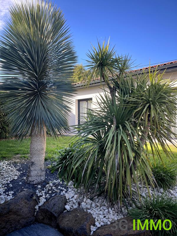 Maison - 141 m² - 4 pièces