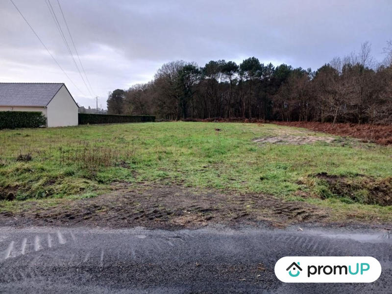 Terrain de loisirs - 4 000 m²