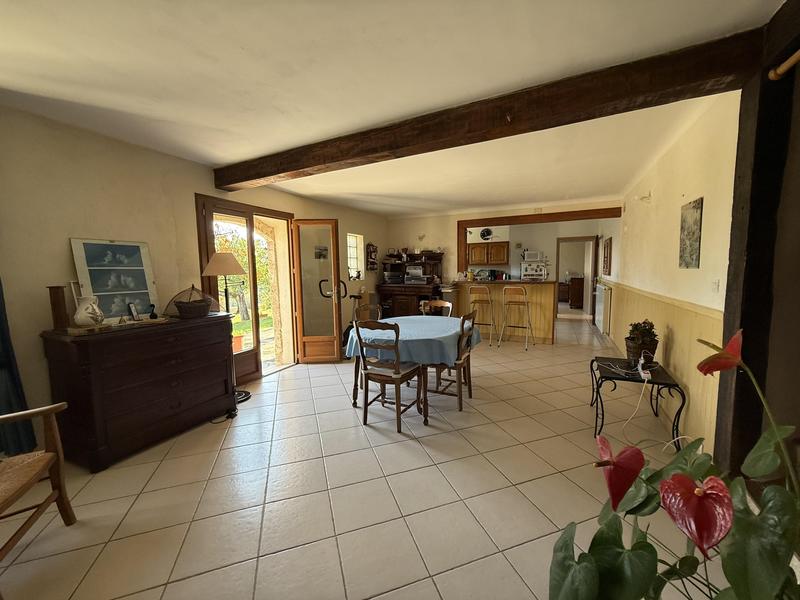Maison en pierre - 279 m² - 6 pièces