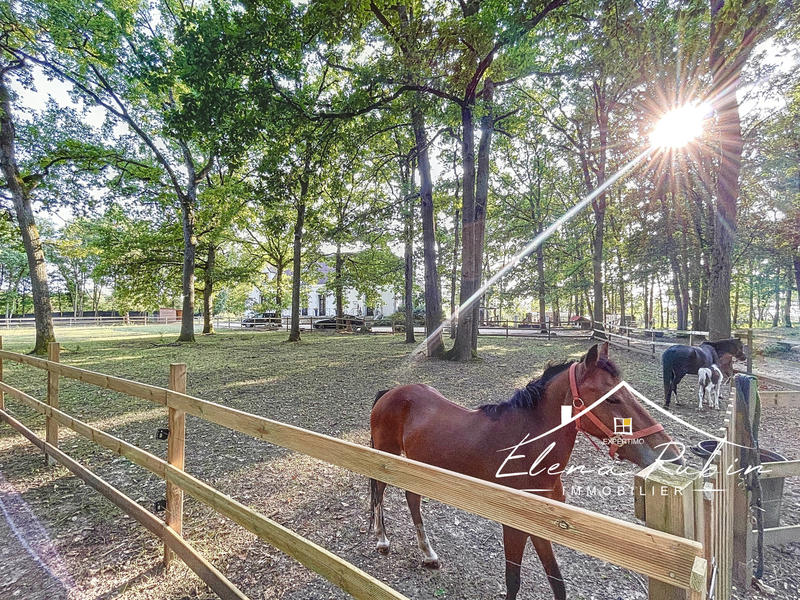 Propriété - 378 m² - 12 pièces