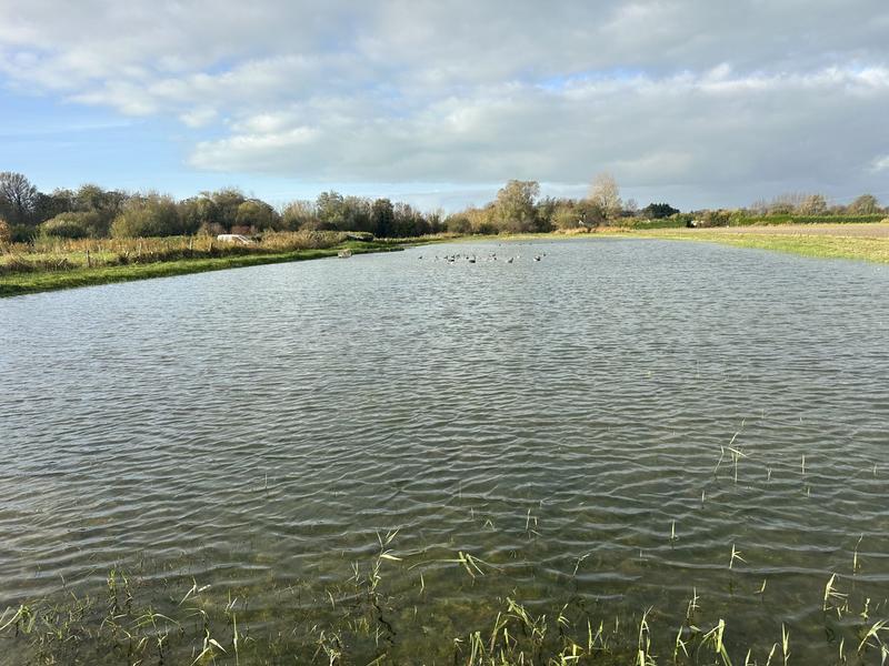 Terrain agricole - 8 390 m²