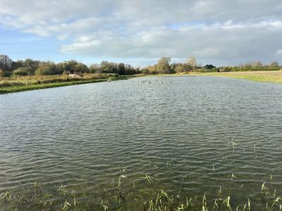 Terrain agricole - 8 390 m²