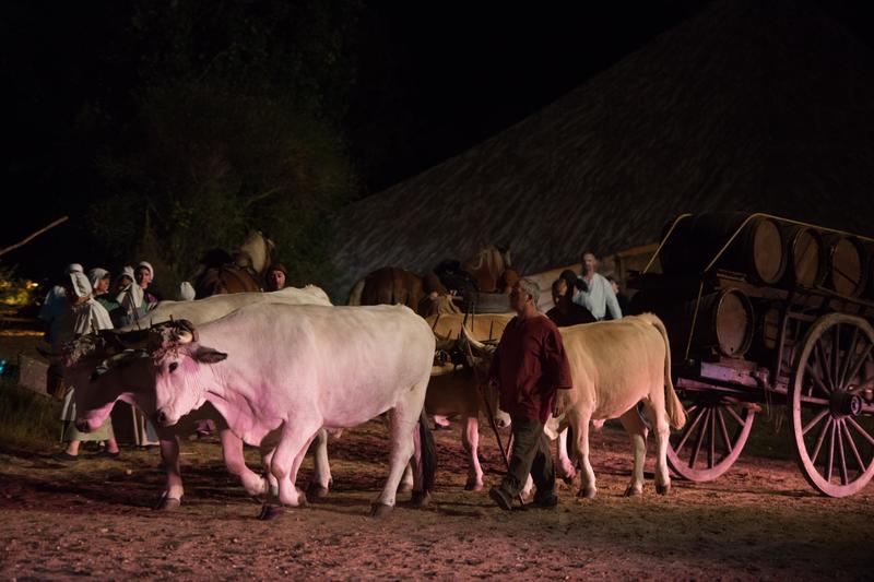 Spectacle la Bataille de Castillon