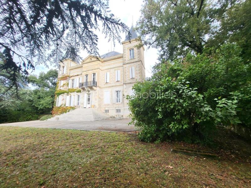 Château - 919 m² - 32 pièces