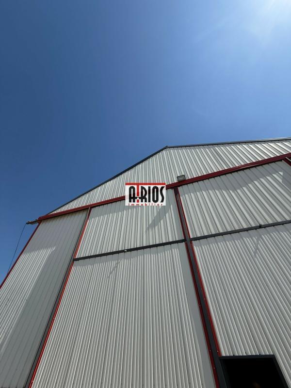 Entrepôt - 336 m² - 1 pièce