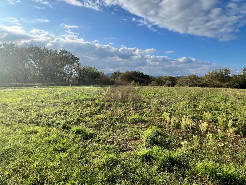 Terrain constructible - 1 745 m²