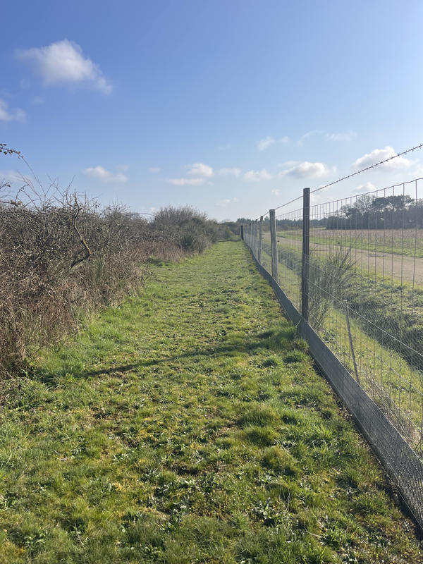 Terrain - 34 900 m²