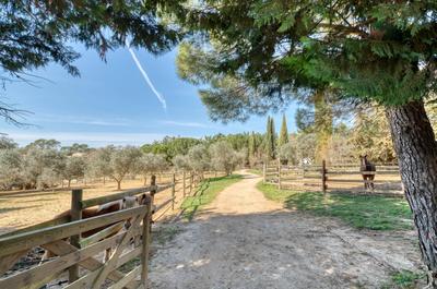 Maison de domaine équestre - 585 m² - 8 pièces