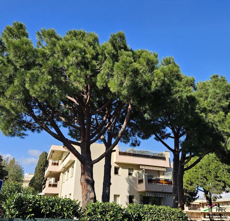 Appartement - 98 m² - 3 pièces