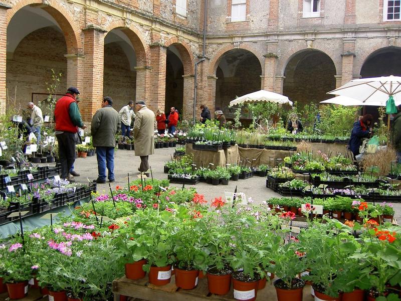 34ème édition Varietas Florum, vente de plantes