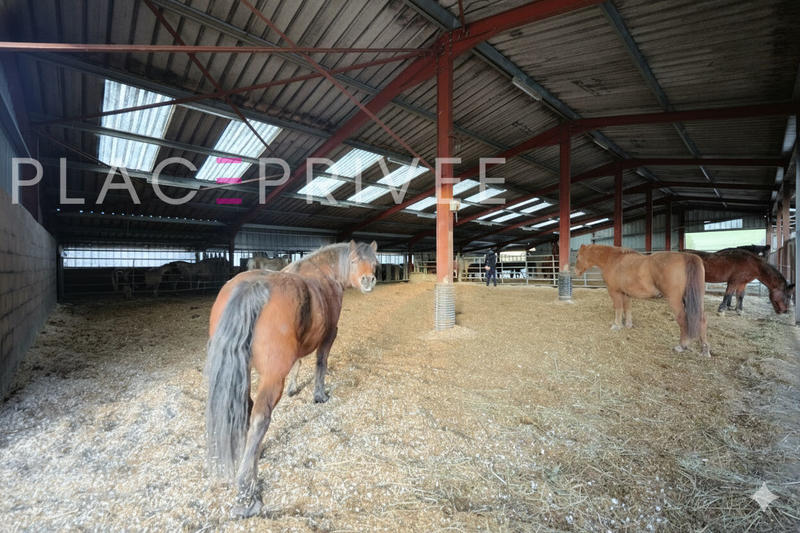 Maison de domaine équestre - 320 m² - 11 pièces