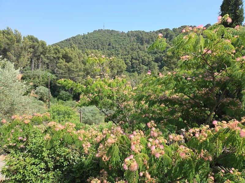 Maison - 135 m² - 4 pièces