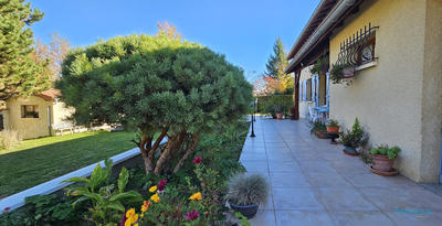 Maison - 147 m² - 5 pièces