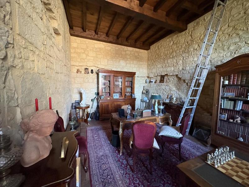 Château - 450 m² - 16 pièces