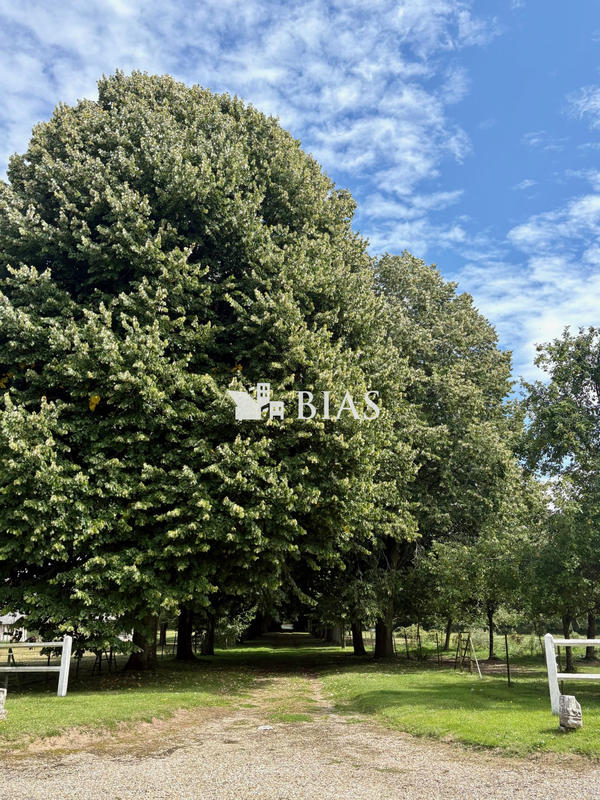 Manoir - 326 m² - 7 pièces