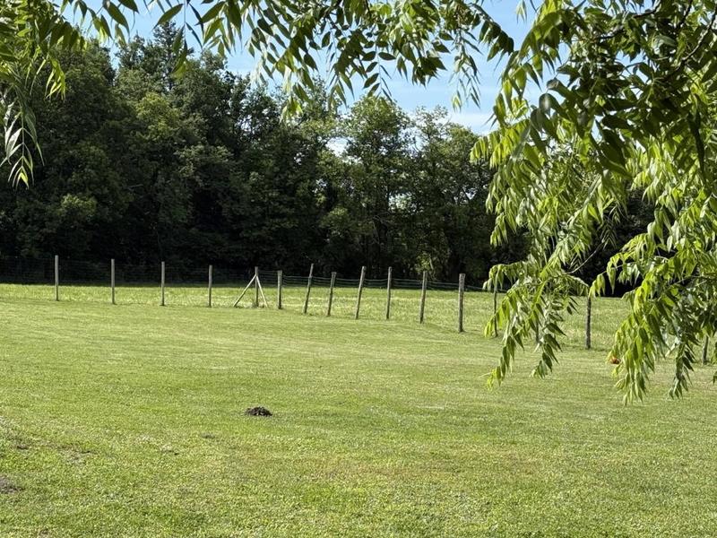 Maison - 250 m² - 11 pièces