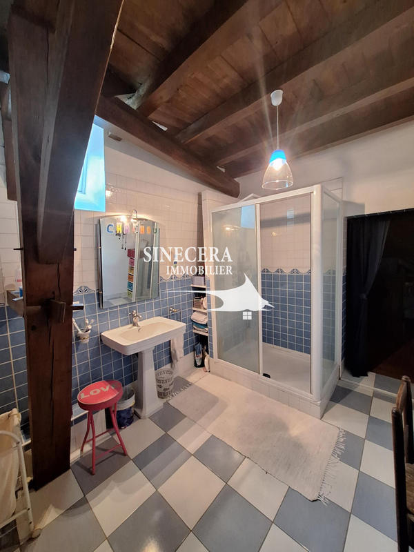 Maison - 230 m² - 8 pièces